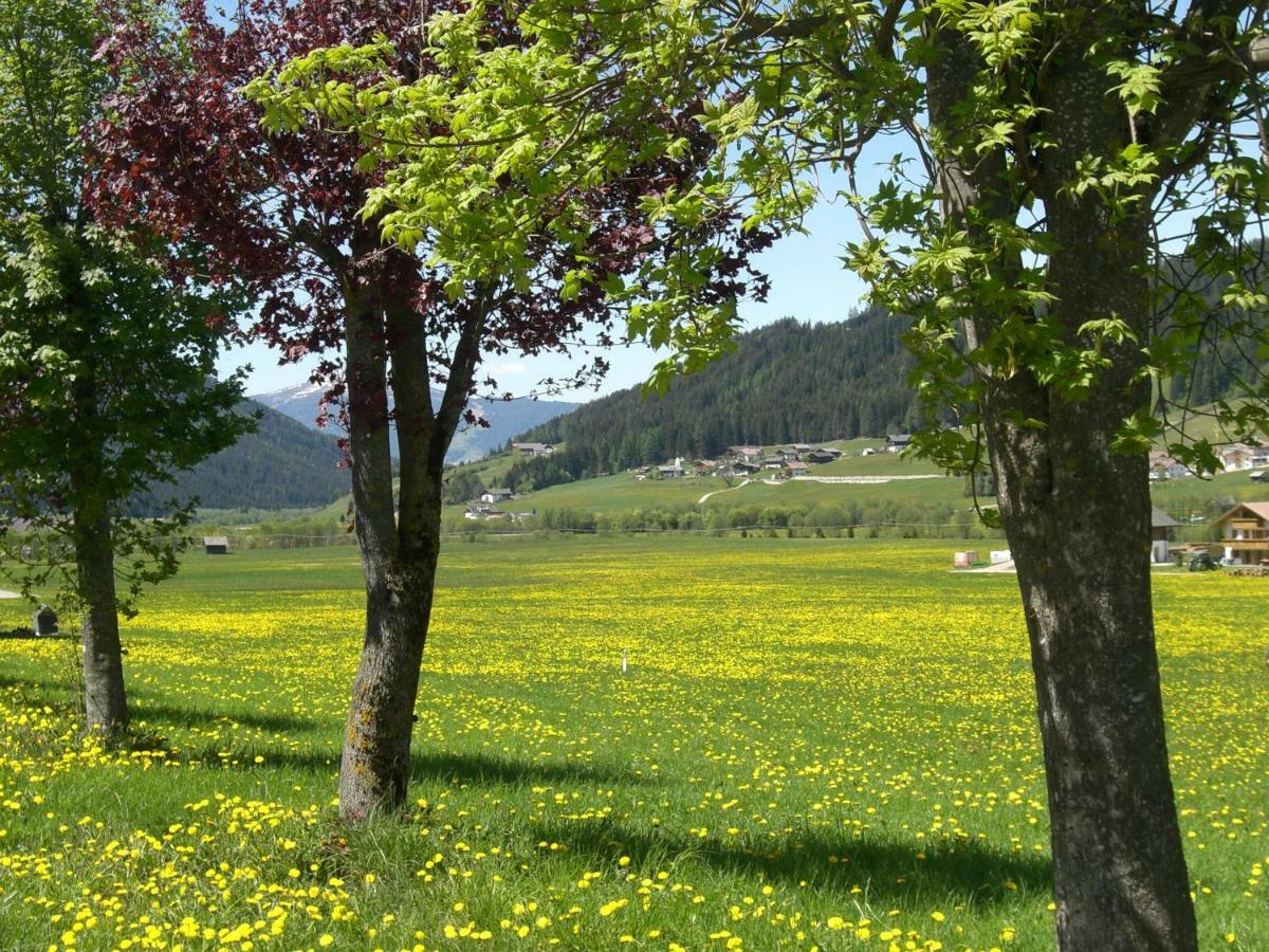 Faltnerhof Planca di Sopra Exteriér fotografie